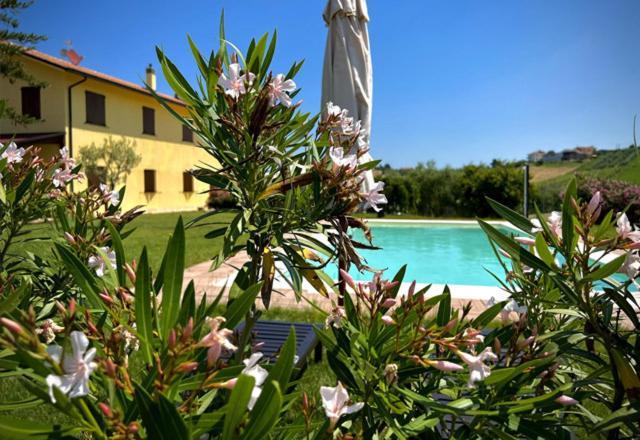 Casale Solindio Bed & Breakfast La Pieve  Exterior photo